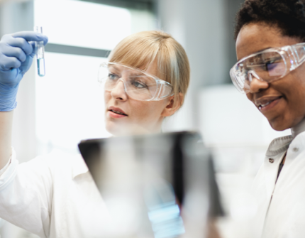 Two laboratory technicians, one of them is looking to a sample Two laboratory technicians, one of them is looking to a sample