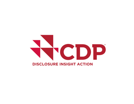 CDP logo